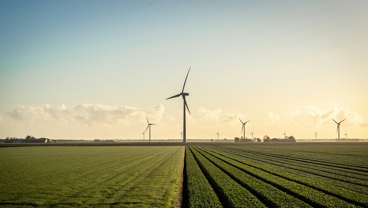 Windräder auf einem Feld