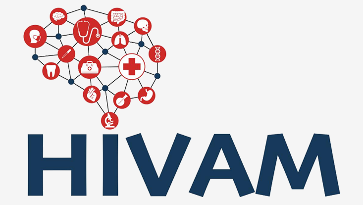 BMBF HIVAM Logo