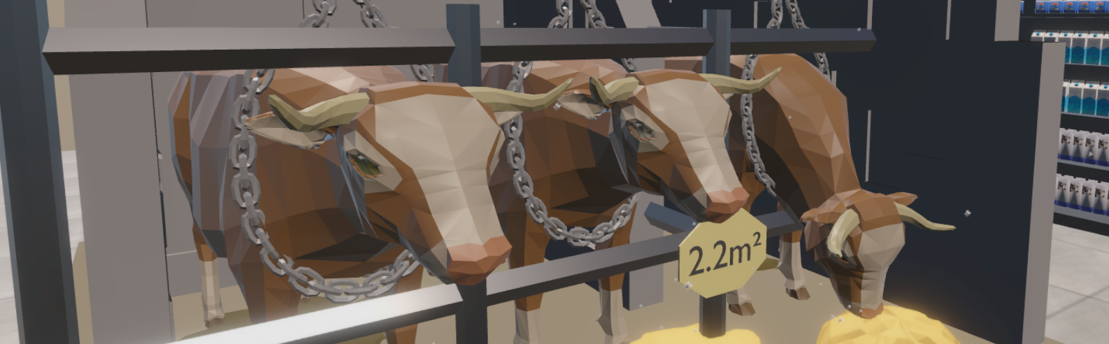 Mehrere Kühe, die in der Haltungsstufe 1, in Ketten leben. 