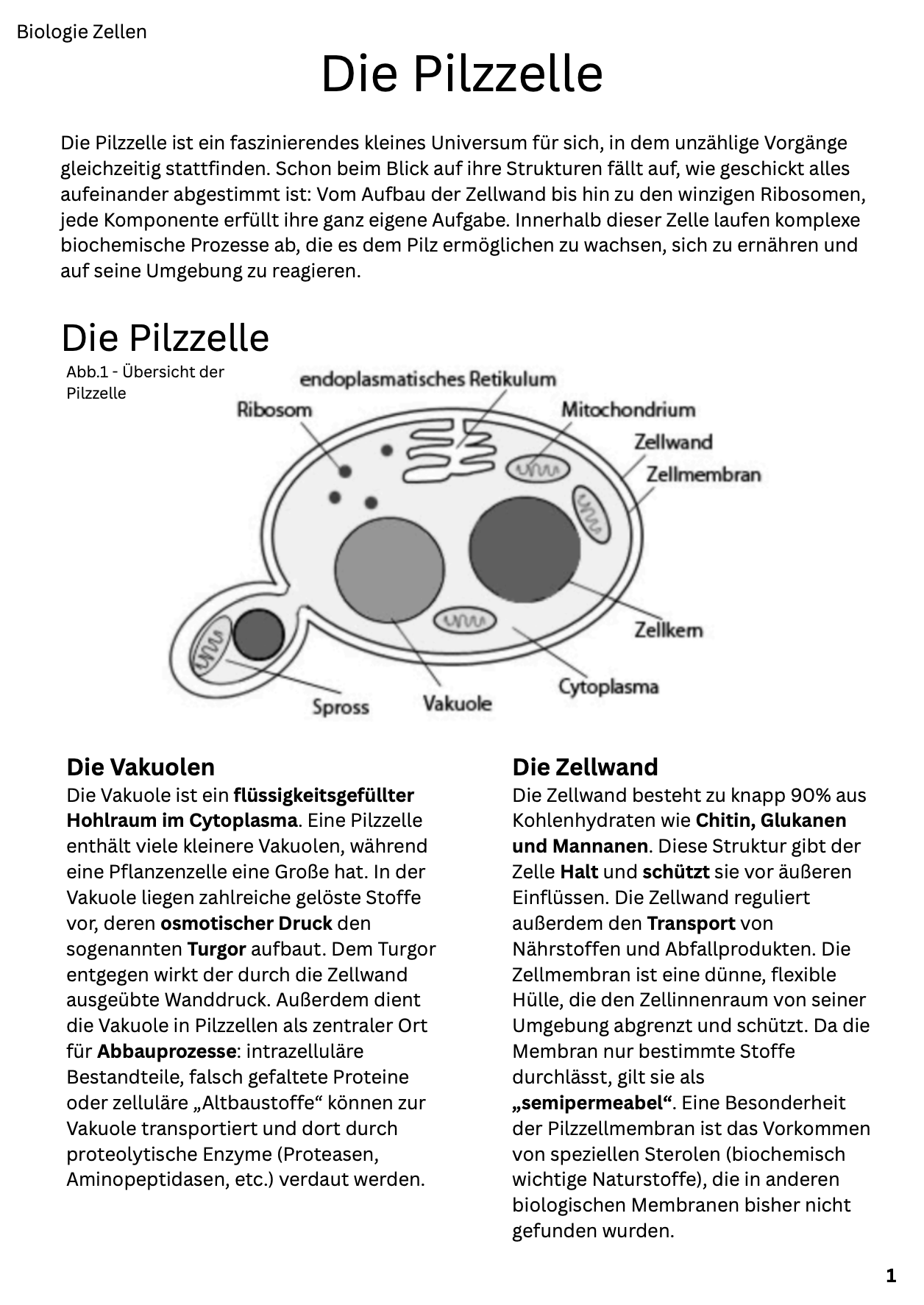 fungal cell worksheet
