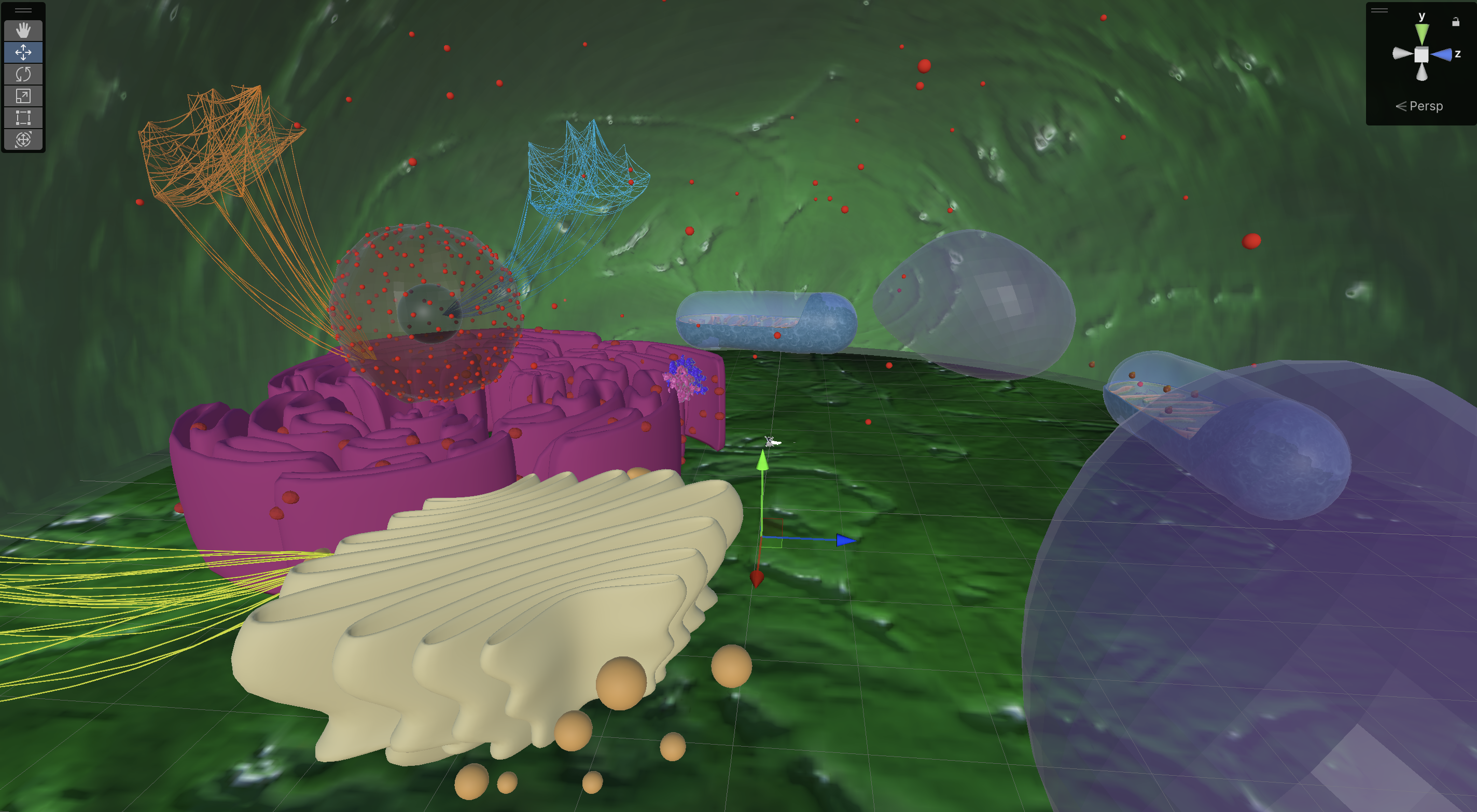 fungal cell VR