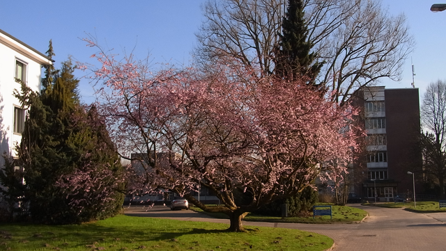 header-ikum-640x361 Informatikum Frühjahr 2017